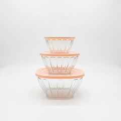Bowls set with plastic lids - 3 Pcs