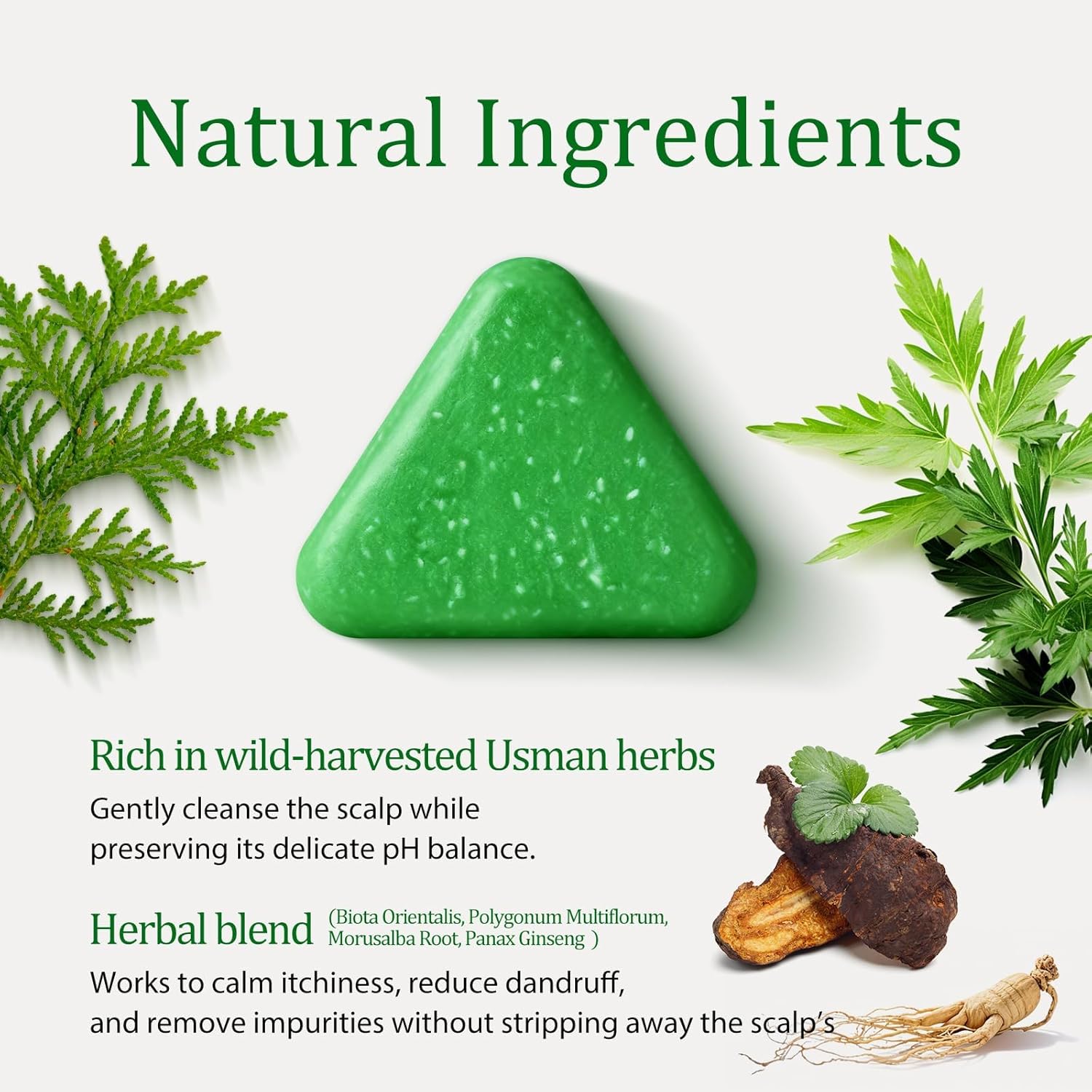 Nature Triangle Shampoo Bar