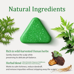 Nature Triangle Shampoo Bar