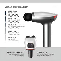 Blueidea Double-Head Massager BLD-922